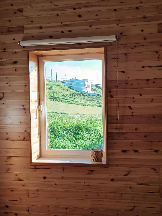 فيلا Raposeira في Roots Cozy House Raposeira المظهر الخارجي الصورة